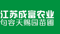 Ϛ